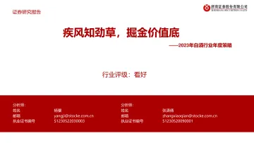 2023年白酒行业年度策略：疾风知劲草，掘金价值底-20221129-浙商证券-37页