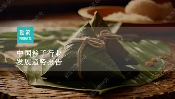 2023粽子行业发展趋势报告-30页