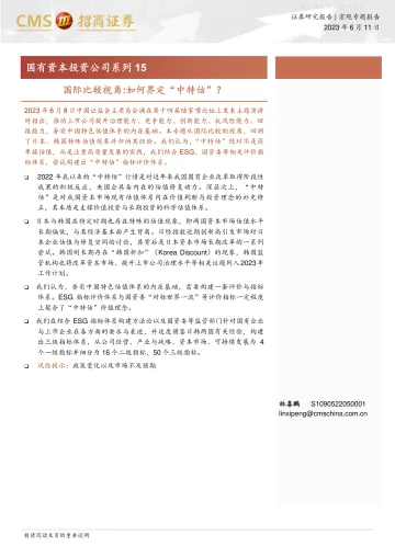 招商证券-国有资本投资公司系列15-国际比较视角:如何界定“中特估”?-230611