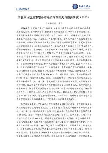 新世纪评级-宁夏自治区及下辖各市经济财政实力与债务研究(2022)-23页