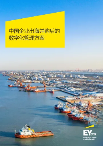 中国企业出海并购后的数字化管理方案-2023.10-12页-WN10