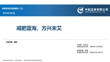 医药行业创新药系列深度报告(三):减肥蓝海,方兴未艾-20230101-中航证券-43页
