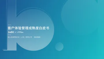 【beBit】客户体验管理成熟度白皮书_2022-46页