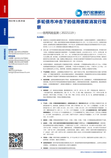 信用风险监测：多轮债市冲击下的信用债取消发行观察-20221120-申万宏源-18页
