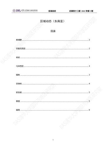 《区域动态》第四十二期:东南亚动态-7页
