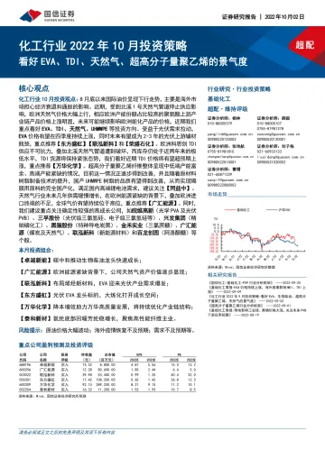 化工行业2022年10月投资策略:看好EVA、TDI、天然气、超高分子量聚乙烯的景气度-20221002-国信证券-26页