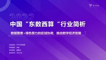 【微报告】2022中国“东数西算”行业简析-11页