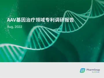 AAV系列-AAV基因治疗领域专利调研报告-2023.10-42页-WN10