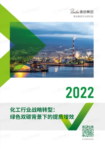 2022化工行业战略转型:绿色双碳背景下的提质增效-佩信集团-30页