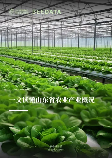 农小蜂-一文读懂山东省农业产业概况-21页-WN10