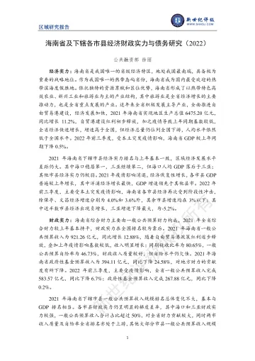 新世纪评级-海南省及下辖各市县经济财政实力与债务研究(2022)-25页