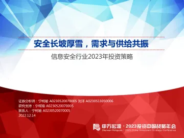 信息安全行业2023年投资策略:安全长坡厚雪,需求与供给共振-20221214-申万宏源-38页