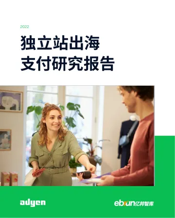 独立站出海支付研究报告-48页-WN9