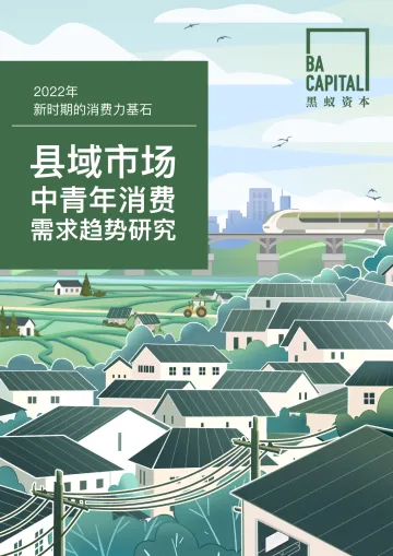 县域市场中青年消费需求趋势研究-黑蚁资本-2022-50页