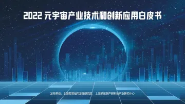 2022元宇宙产业技术和创新应用白皮书-35页-WN8