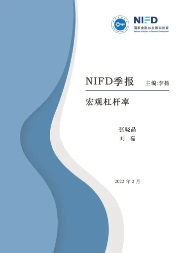 2021年度中国杠杆率报告-NIFD-2022.2-31页