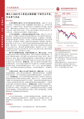 化工行业磷化工2022年三季度业绩前瞻:下游多点开花、行业景气仍在-20221020-东亚前海证券-23页