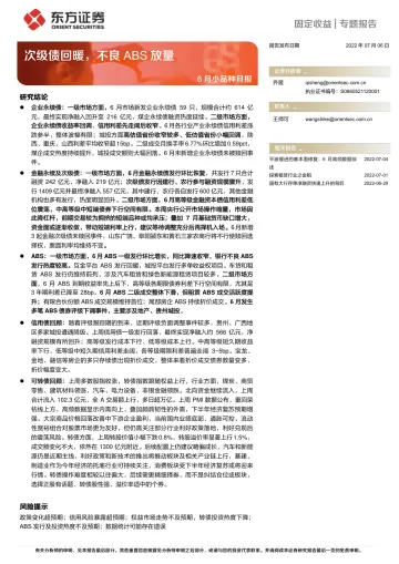 6月小品种月报:次级债回暖,不良ABS放量-20220706-东方证券-27页