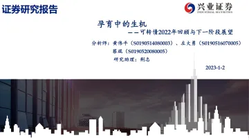 可转债2022年回顾与下一阶段展望：孕育中的生机-20230102-兴业证券-66页