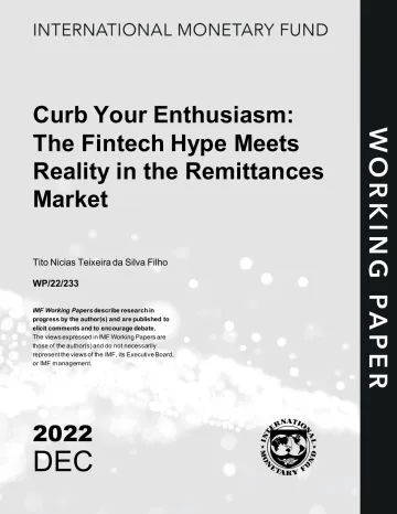 IMF-抑制你的热情:金融科技的炒作在汇款市场遇到了现实(英)-2022.12-45页