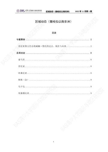 2022年11月第一期《区域动态》撒哈拉以南非洲地区-10页