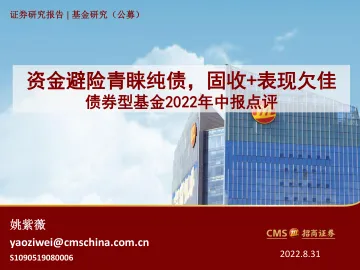 债券型基金2022年中报点评:资金避险青睐纯债,固收+表现欠佳-20220831-招商证券-33页