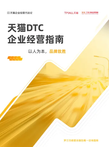 天猫DTC企业经营指南 — 以人为本，品牌致胜-46页