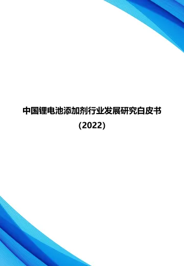 中国锂电池添加剂行业发展研究白皮书-2023.10-25页-WN10