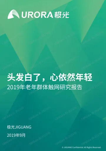 2019年老年群体触网研究报告