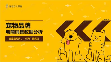 2019宠物品牌电商销售分析报告