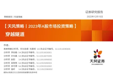 2023年A股市场投资策略:穿越隧道-20221215-天风证券-129页