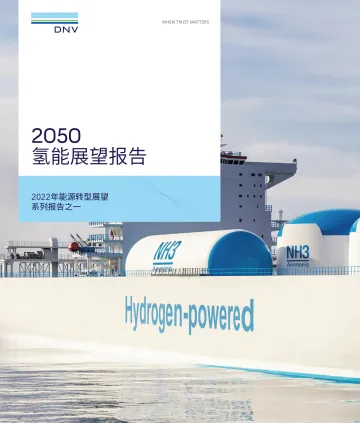 2050氢能展望报告-NDV-2022-100页-WN8