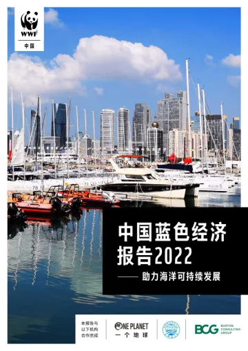 中国蓝色经济报告2022:助力海洋可持续发展-世界自然基金会-29页