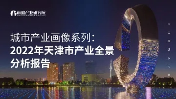 2022年天津市产业全景分析报告-105页