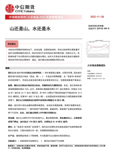 大宗商品2023年度策略报告:山还是山,水还是水-20221128-中信期货-35页