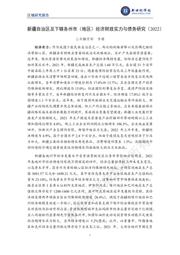 新世纪评级-新疆自治区及下辖各州市(地区)经济财政实力与债务研究(2022)-28页