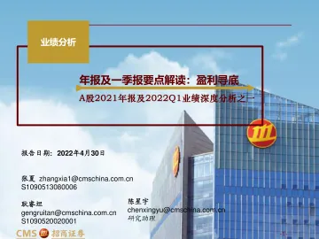 A股2021年报及2022Q1业绩深度分析之一:年报及一季报要点解读,盈利寻底-20220430-招商证券-32页