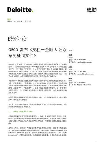 《支柱一金额B公众意见征询文件》-7页
