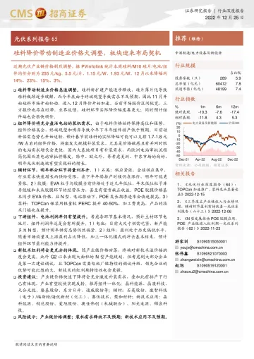 电力设备及新能源行业光伏系列报告65:硅料降价带动制造业价格大调整,板块迎来布局契机-20221225-招商证券-22页