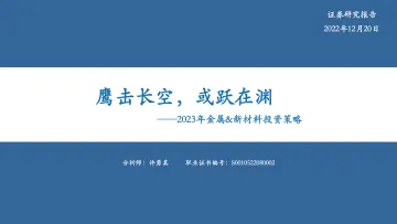 2023年金属&新材料行业投资策略：鹰击长空，或跃在渊-20221220-华安证券-57页
