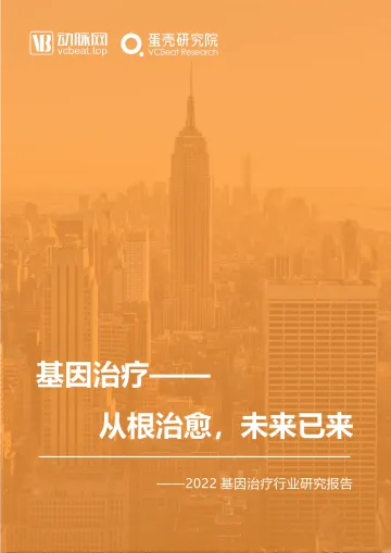 202206;《2022基因治疗行业报告》报告全文-70页