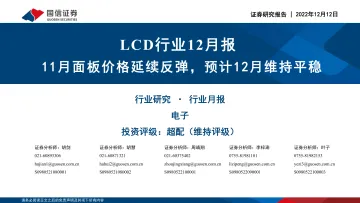 LCD行业12月报:11月面板价格延续反弹,预计12月维持平稳-20221212-国信证券-24页