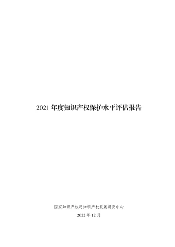 2021年度知识产权保护水平评估报告-28页