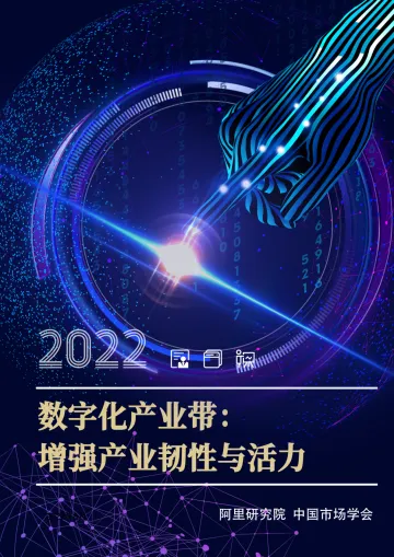 《数字化产业带:增强产业韧性与活力》-27页