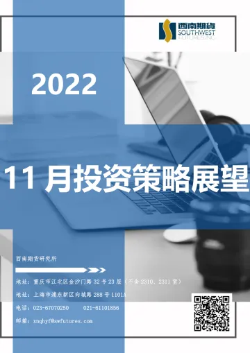 11月投资策略展望-20221102-西南期货-182页