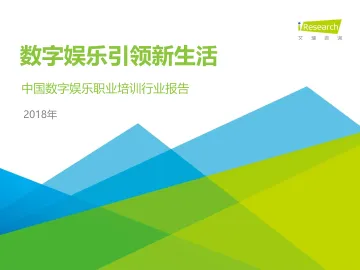 2018年中国数字娱乐职业培训行业报告