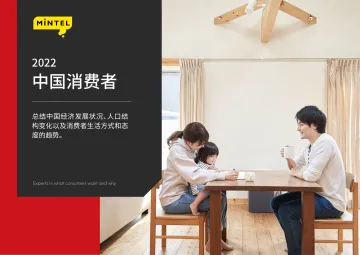 2022消费者年度报告-22页