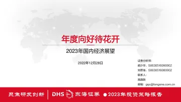 2023年国内经济展望:年度向好待花开-20221228-东海证券-73页