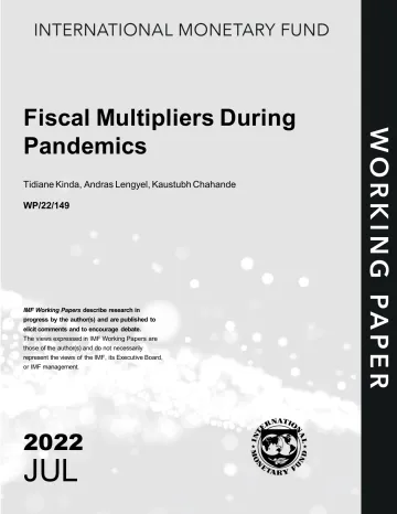 IMF-流行病期间的财政乘数(英)-2022.7-31页