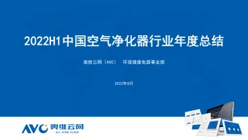 2022H1中国空气净化器行业年度总结-9页-WN8